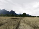 Fields