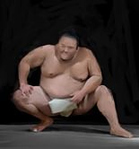 Sumo Study #2