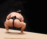 Sumo Study #3