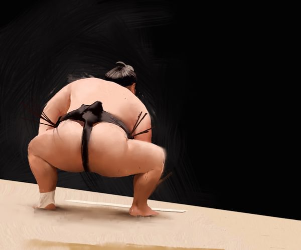 Sumo Study #3