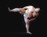 Sumo Study #4
