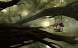 Through the Canopy